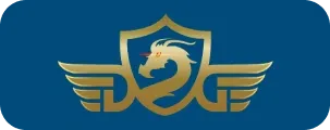 VNPay partner logo